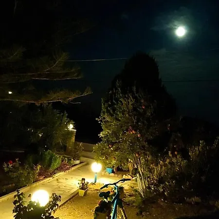 Argiro's A1 * Kéfalos