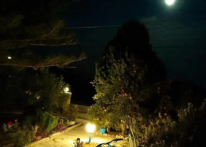 Argiro's A1 * 克法洛斯